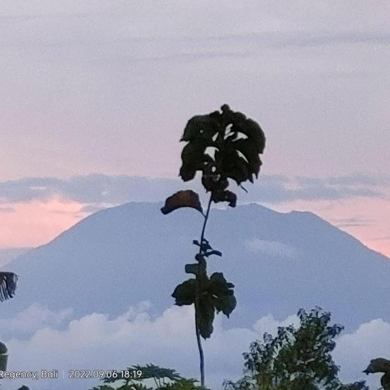 Villa Ume Tenang Nusa Penida Eksteriør bilde